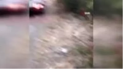Son dakika... Otomobil baraj gölüne uçtu: 4 yaralı Son dakika... Otomobil baraj gölüne uçtu: 4 yaralı