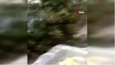 Son dakika... Otomobil baraj gölüne uçtu: 4 yaralı Son dakika... Otomobil baraj gölüne uçtu: 4 yaralı