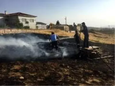 Son dakika haber! Siirt'te bahçede çıkan yangın evlere sıçramadan söndürüldü Son dakika haber! Siirt'te bahçede çıkan yangın evlere sıçramadan söndürüldü