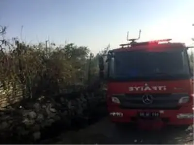 Son dakika haber! Siirt'te bahçede çıkan yangın evlere sıçramadan söndürüldü Son dakika haber! Siirt'te bahçede çıkan yangın evlere sıçramadan söndürüldü