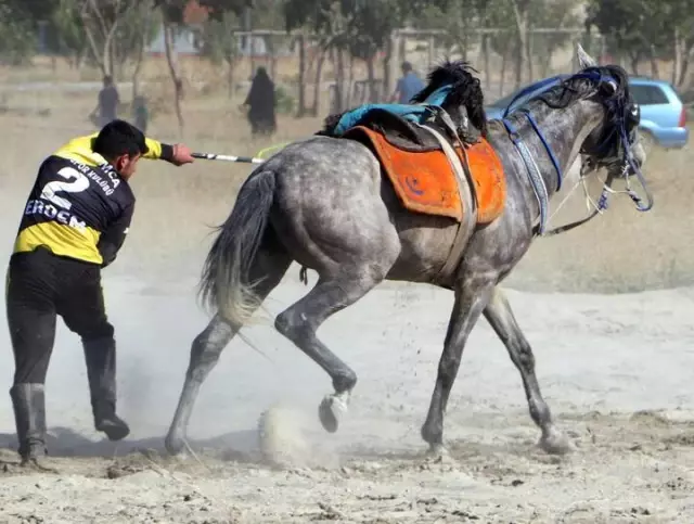 Erzurum'daki gösteride attan düşen ciritçi yürekleri ağza getirdi