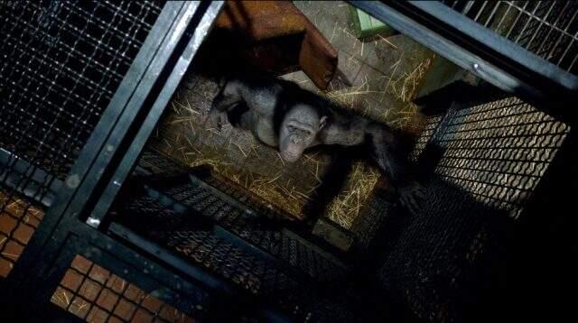 Maymunlar Cehennemi Başlangıç konusu nedir? Maymunlar Cehennemi Başlangıç yapım yılı, seslendirme sanatçıları kimler?