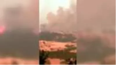 Orman yangını Orman yangını