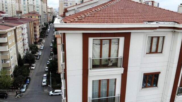 Talihsiz martı, ev sahibi çilingire izin vermeyince 5 gün boyunca sıkıştığı yerde can çekişti