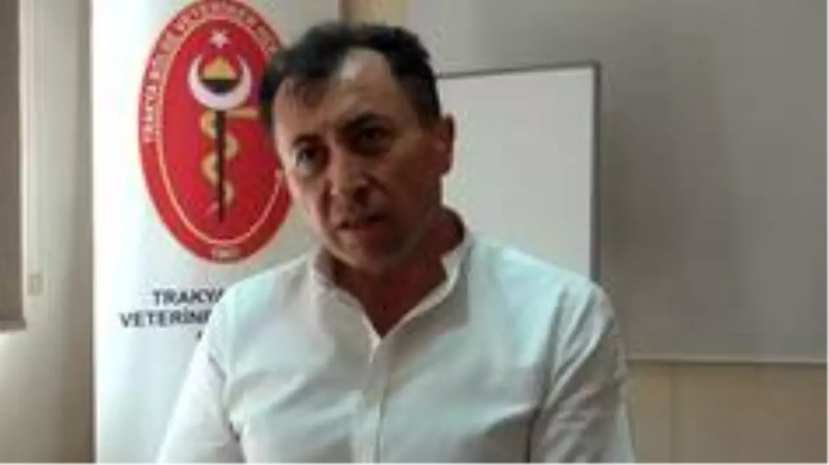 Trakya üreticisi hayvancılıktan uzaklaşıyor