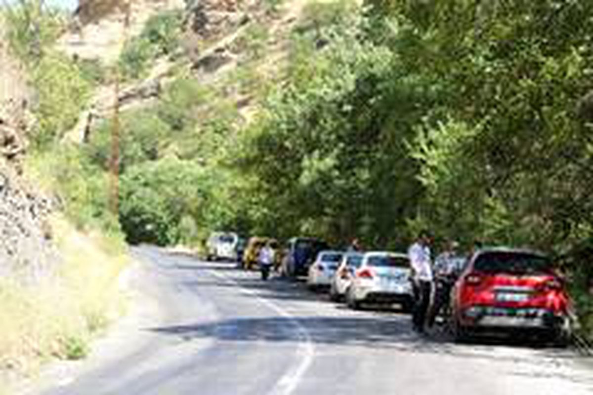 Tunceli'de dünden beri haber alınamayan iki kardeşi arama çalışmaları sürüyor