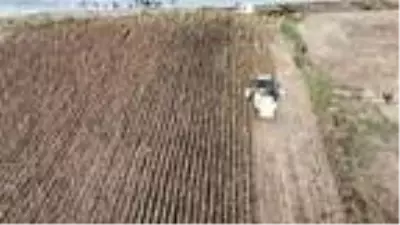 (Havadan Görüntülerle)VALİ YERLİKAYA ÇATALCA'DA AYÇİÇEĞİ HASADINA KATILDI (Havadan Görüntülerle)VALİ YERLİKAYA ÇATALCA'DA AYÇİÇEĞİ HASADINA KATILDI