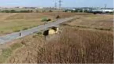 (Havadan Görüntülerle)VALİ YERLİKAYA ÇATALCA'DA AYÇİÇEĞİ HASADINA KATILDI (Havadan Görüntülerle)VALİ YERLİKAYA ÇATALCA'DA AYÇİÇEĞİ HASADINA KATILDI