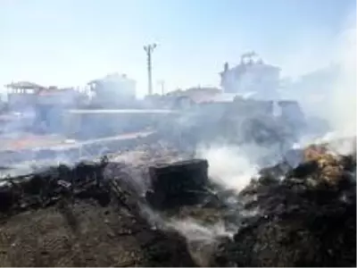 Bayat'ta çıkan yangında ev, samanlık ve ahır küle döndü Bayat'ta çıkan yangında ev, samanlık ve ahır küle döndü