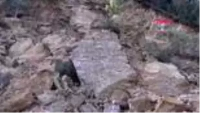 Son dakika haber! BURSA Bursa'da heyelan, otomobilinin üzerine kaya parçaları düşen bekçi, öldü Son dakika haber! BURSA Bursa'da heyelan, otomobilinin üzerine kaya parçaları düşen bekçi, öldü