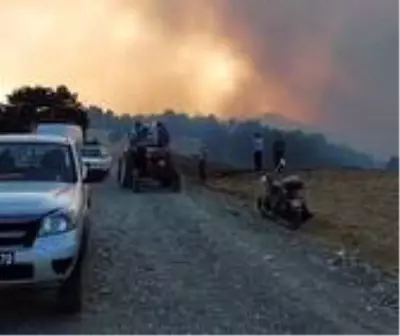 Çorum'daki orman yangını kontrol altına alındı Çorum'daki orman yangını kontrol altına alındı