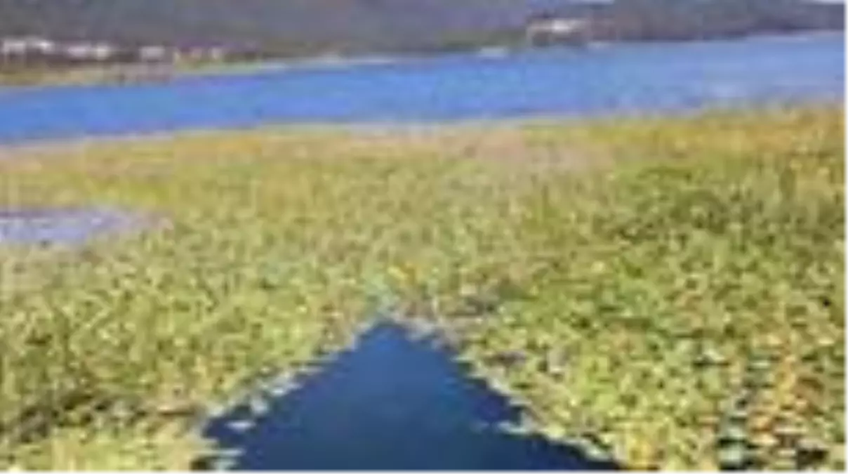 Doğa tutkunlarının tercihi Abant oldu