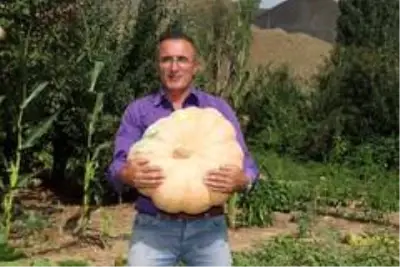 Hakkarili çiftçi, 45 kilo ağırlığında kabak yetiştirdi Hakkarili çiftçi, 45 kilo ağırlığında kabak yetiştirdi