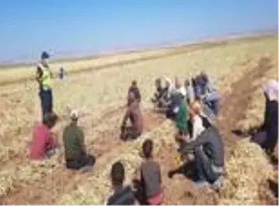 Son dakika haberi: Jandarma'dan tarım işçilerini taşıyan araçlara denetim Son dakika haberi: Jandarma'dan tarım işçilerini taşıyan araçlara denetim