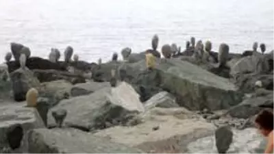 Kadın cinayetlerine sahildeki kayalıklara taş dizerek dikkat çekmeye çalıştı Kadın cinayetlerine sahildeki kayalıklara taş dizerek dikkat çekmeye çalıştı