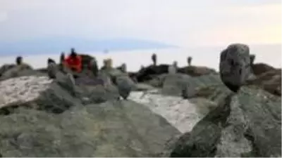 Kadın cinayetlerine sahildeki kayalıklara taş dizerek dikkat çekmeye çalıştı Kadın cinayetlerine sahildeki kayalıklara taş dizerek dikkat çekmeye çalıştı