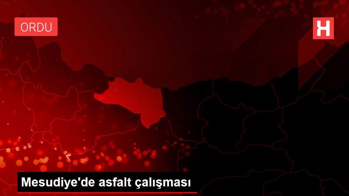 Mesudiye'de asfalt çalışması