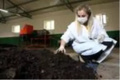 Eşinin desteğiyle başladığı solucan gübresi üretiminde siparişlere yetişemiyor Eşinin desteğiyle başladığı solucan gübresi üretiminde siparişlere yetişemiyor