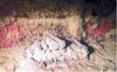 Son dakika haberleri: ANTALYA St. Didier batığındaki silah ve mühimmatlar görüntülendi Son dakika haberleri: ANTALYA St. Didier batığındaki silah ve mühimmatlar görüntülendi