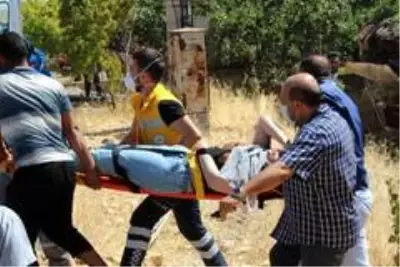 Tarlaya uçan araca fıstık ağacı ok gibi saplandı: 6 yaralı Tarlaya uçan araca fıstık ağacı ok gibi saplandı: 6 yaralı