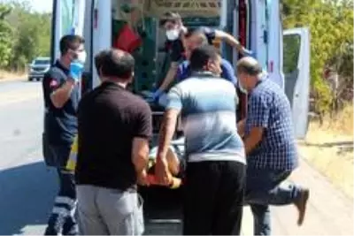 Tarlaya uçan araca fıstık ağacı ok gibi saplandı: 6 yaralı Tarlaya uçan araca fıstık ağacı ok gibi saplandı: 6 yaralı