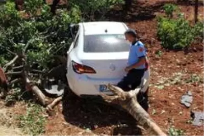 Tarlaya uçan araca fıstık ağacı ok gibi saplandı: 6 yaralı Tarlaya uçan araca fıstık ağacı ok gibi saplandı: 6 yaralı