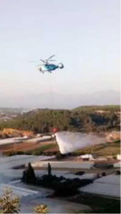 Son dakika haberleri... Antalya'da çalılık alan yangını ormanı tehdit ediyor Son dakika haberleri... Antalya'da çalılık alan yangını ormanı tehdit ediyor