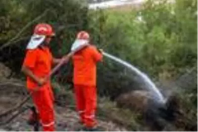 Son dakika haber... Antalya'da orman yangını (2) - Yeniden Son dakika haber... Antalya'da orman yangını (2) - Yeniden