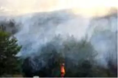 Antalya'da orman yangını (1) Antalya'da orman yangını (1)