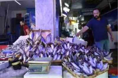 Balıklar bollaşıyor, fiyatlar düşüyor Balıklar bollaşıyor, fiyatlar düşüyor