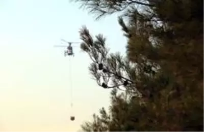 Evlerine yakın bölgede çıkan orman yangınından panikle kaçtılar Evlerine yakın bölgede çıkan orman yangınından panikle kaçtılar