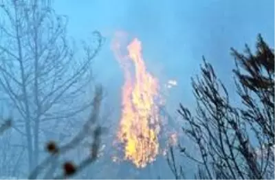 Evlerine yakın bölgede çıkan orman yangınından panikle kaçtılar Evlerine yakın bölgede çıkan orman yangınından panikle kaçtılar