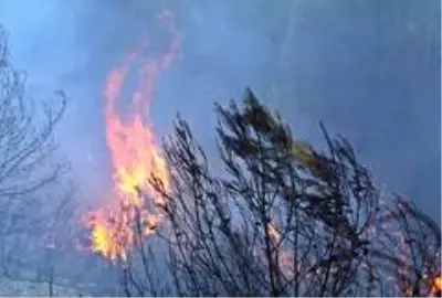 Evlerine yakın bölgede çıkan orman yangınından panikle kaçtılar Evlerine yakın bölgede çıkan orman yangınından panikle kaçtılar