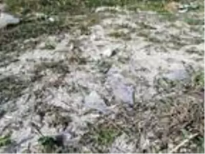 İSTANBUL-GÖRKEM'İN PARKTA ÖLÜMÜ FACİAYI YARATAN O PANELLER İSTANBUL-GÖRKEM'İN PARKTA ÖLÜMÜ FACİAYI YARATAN O PANELLER