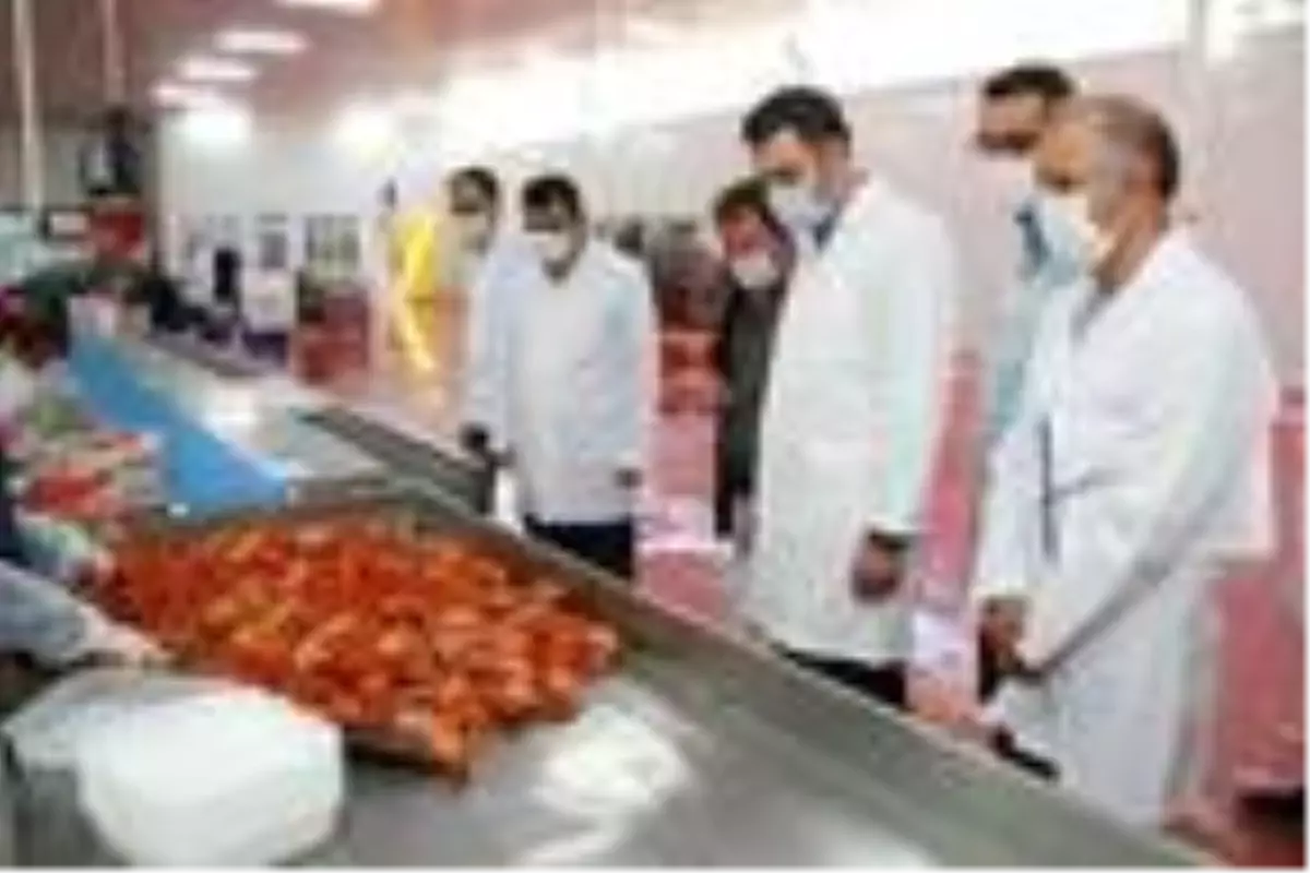 Isparta'dan 401 ton kerevit ihracı