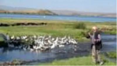 KARS Kars kazını Çıldır Gölü'nde serinletiyorlar KARS Kars kazını Çıldır Gölü'nde serinletiyorlar