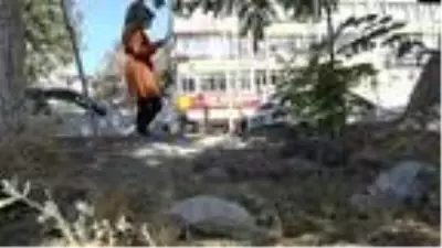 KAYSERİ 'Maskeyi yere atmak, kişilik bozukluğu' KAYSERİ 'Maskeyi yere atmak, kişilik bozukluğu'