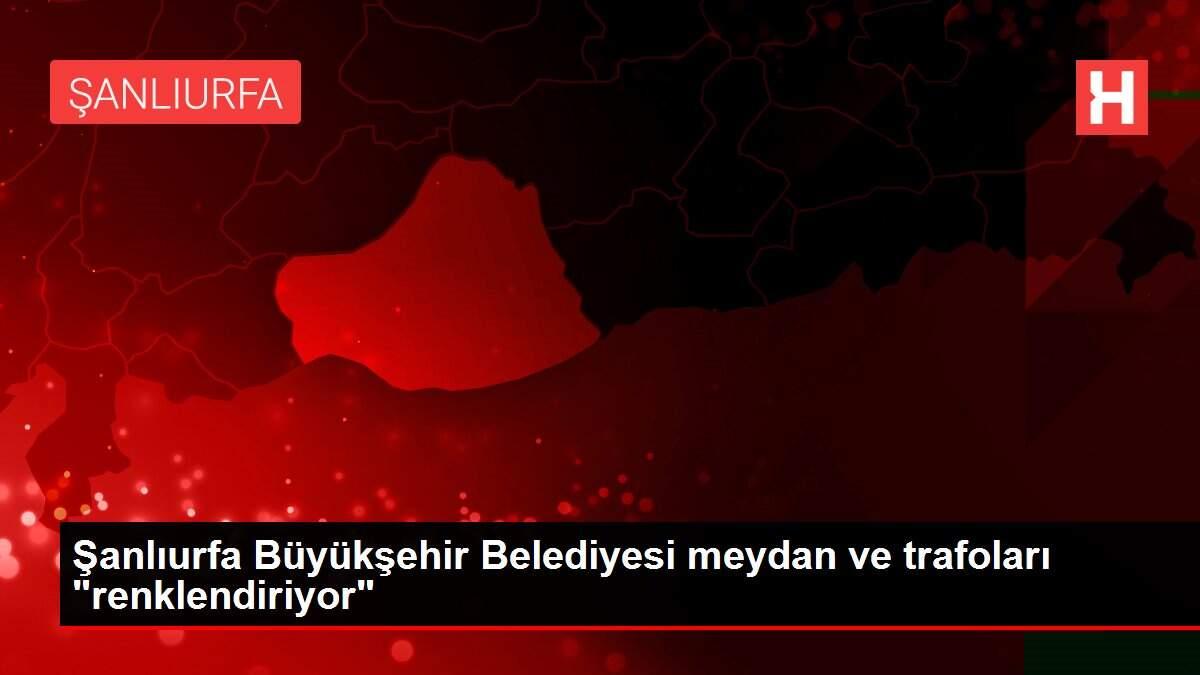 Şanlıurfa Büyükşehir Belediyesi meydan ve trafoları 'renklendiriyor'