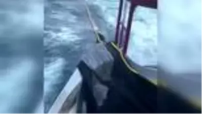 Sinop'ta denize açılan balıkçılar limana 600 kasa palamutla döndü Sinop'ta denize açılan balıkçılar limana 600 kasa palamutla döndü