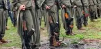 Cemil Bayık: Terör örgütü PKK'nın kurucularından Ali Haydar Kaytan etkisiz hale getirildi Cemil Bayık: Terör örgütü PKK'nın kurucularından Ali Haydar Kaytan etkisiz hale getirildi