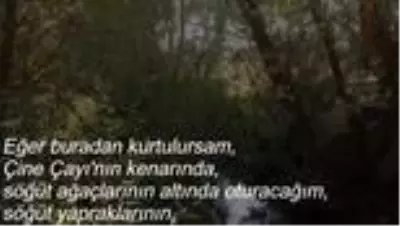 Trafik polisinden, merhum Başbakan Menderes için şarkı Trafik polisinden, merhum Başbakan Menderes için şarkı