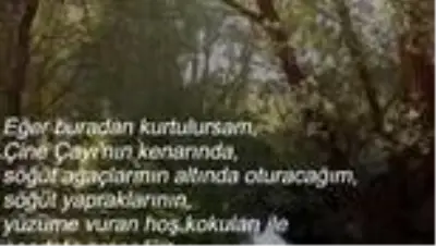 Trafik polisinden, merhum Başbakan Menderes için şarkı Trafik polisinden, merhum Başbakan Menderes için şarkı