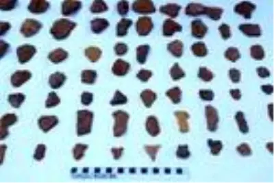 Tunceli'de, 200 bin yıl öncesine ait olduğu değerlendirilen insan izlerine rastlandı Tunceli'de, 200 bin yıl öncesine ait olduğu değerlendirilen insan izlerine rastlandı