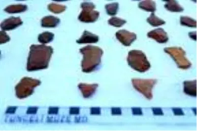 Tunceli'de, 200 bin yıl öncesine ait olduğu değerlendirilen insan izlerine rastlandı Tunceli'de, 200 bin yıl öncesine ait olduğu değerlendirilen insan izlerine rastlandı