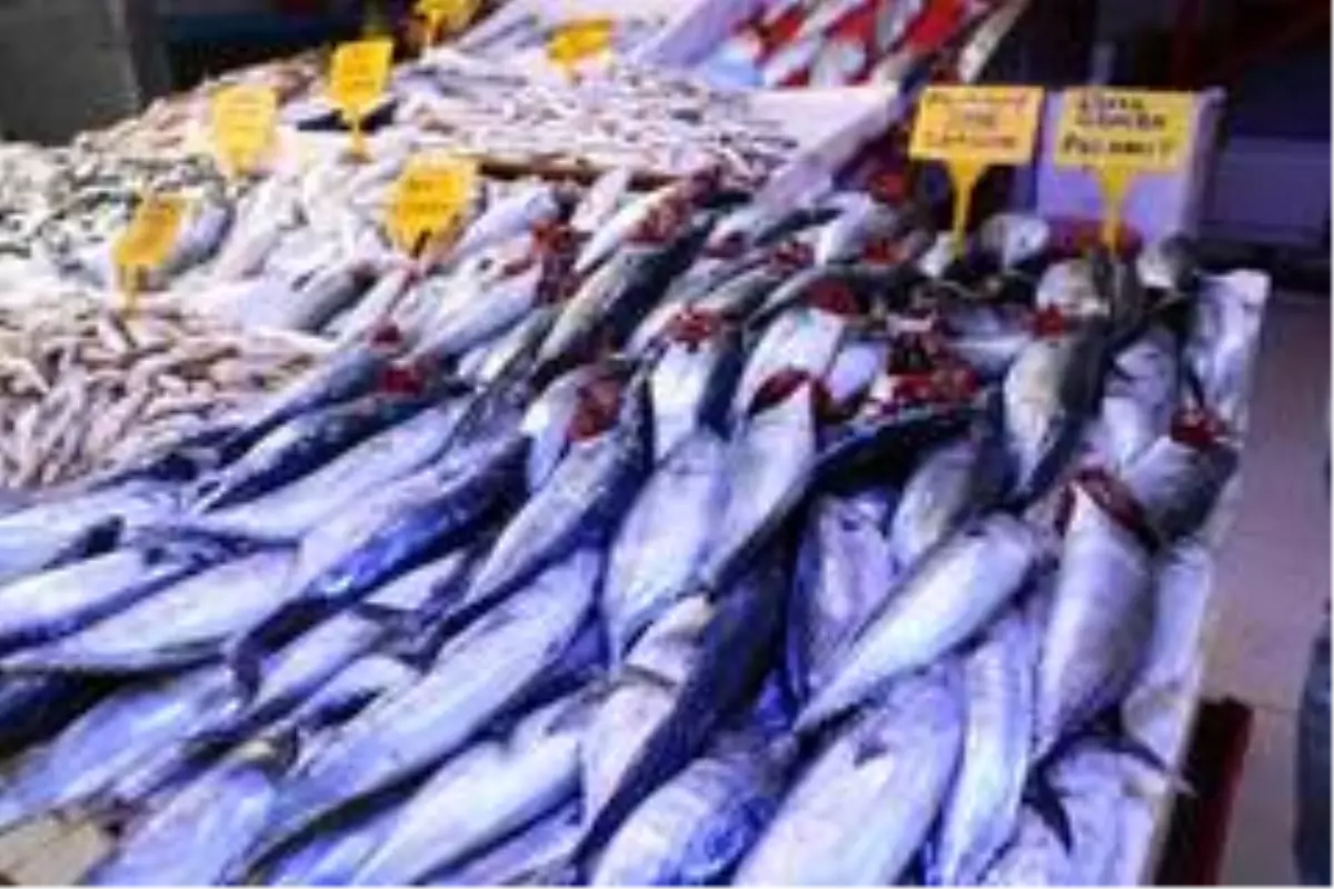 600 gramlık palamut 10 TL'den satılıyor