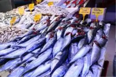 600 gramlık palamut 10 TL'den satılıyor 600 gramlık palamut 10 TL'den satılıyor