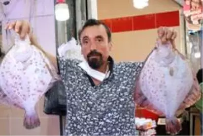 600 gramlık palamut 10 TL'den satılıyor 600 gramlık palamut 10 TL'den satılıyor
