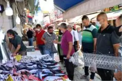 600 gramlık palamut 10 TL'den satılıyor 600 gramlık palamut 10 TL'den satılıyor
