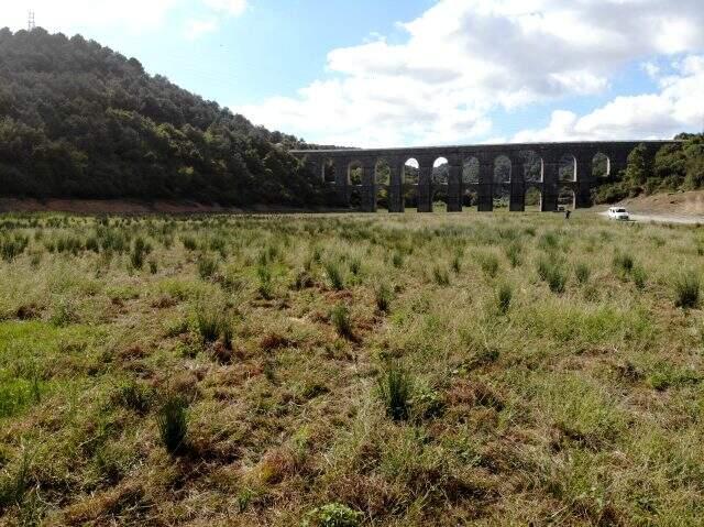 Alibeyköy barajında sular çekildi, susuz kalan yerlerde hayvanlar otluyor