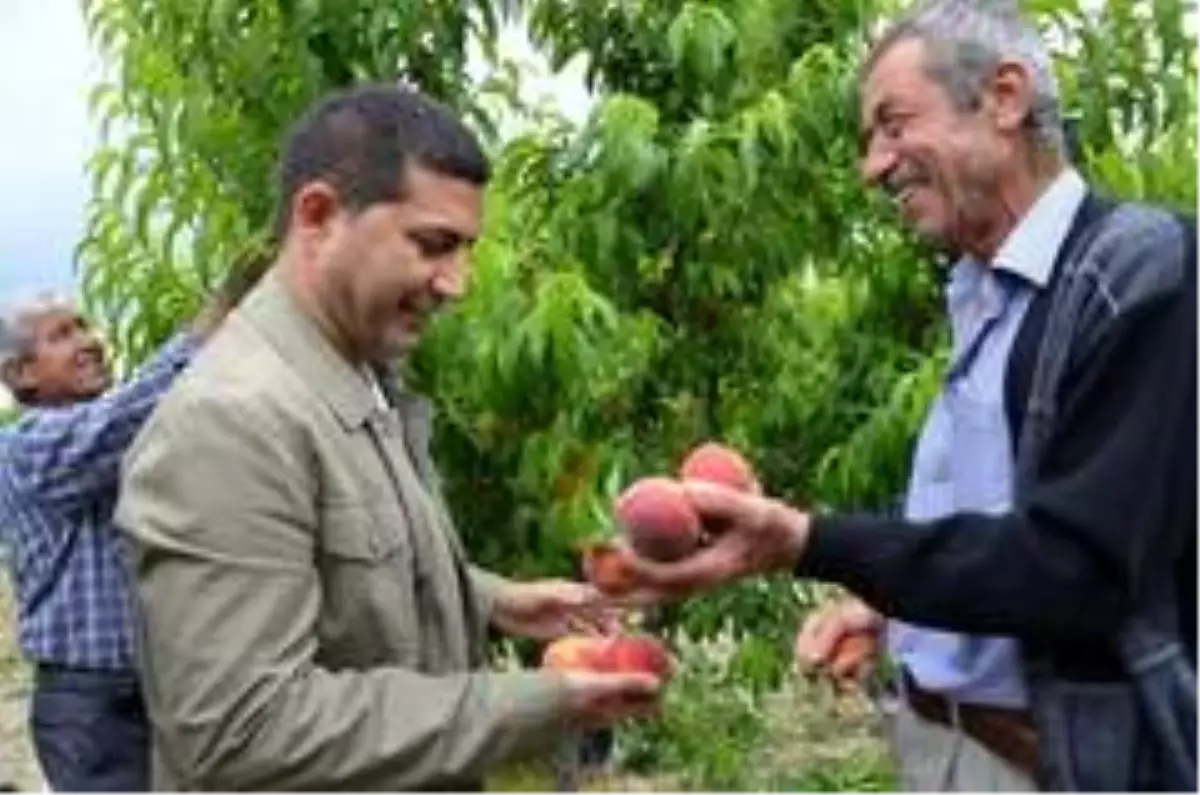Başkan Günel, en başarılı belediye başkanları arasına girdi
